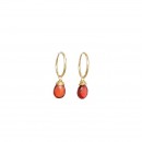 Single stone and hoop earring