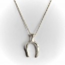 Silver Wishbone Pendant+necklace